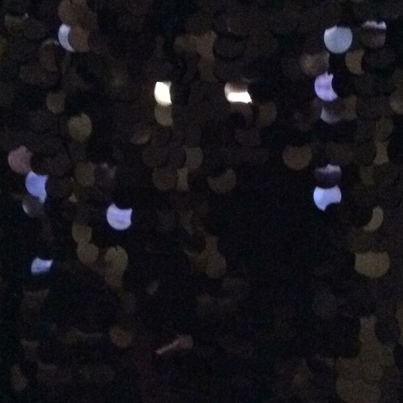 Forever 21 Sequin Skirt - Picture 2 of 3